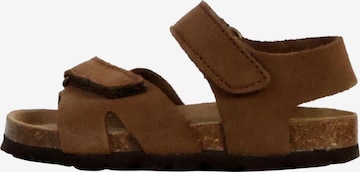 Chaussure basse 'Orion Scratch Leder-Pantoletten für Kinder' The Divine Factory en marron : devant