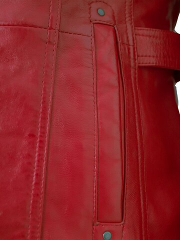 Jilani Tussenjas 'Renea-3' in Rood