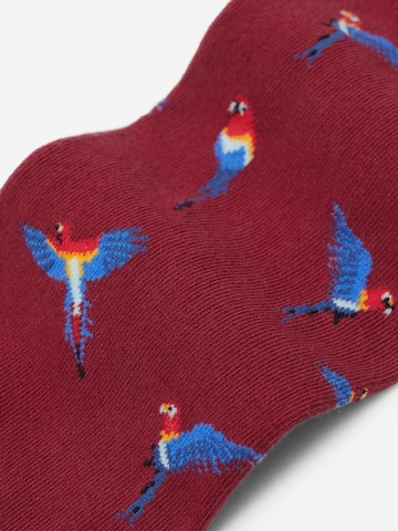 Von Jungfeld Socken 'Papagei Icon' in Rot