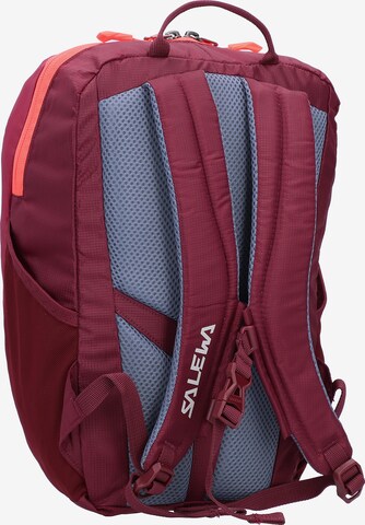 SALEWA Sports Backpack in Pink