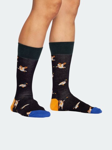 DillySocks Sokker 'Geschenkbox - Flutter into Spring (3er Box)' i blandingsfarvet: forside