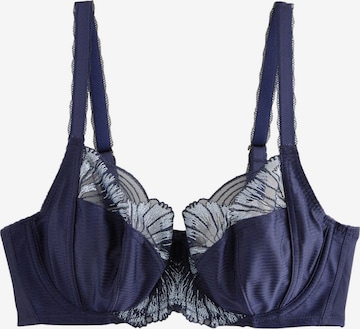 NextGrudnjak - plava boja: prednji dio