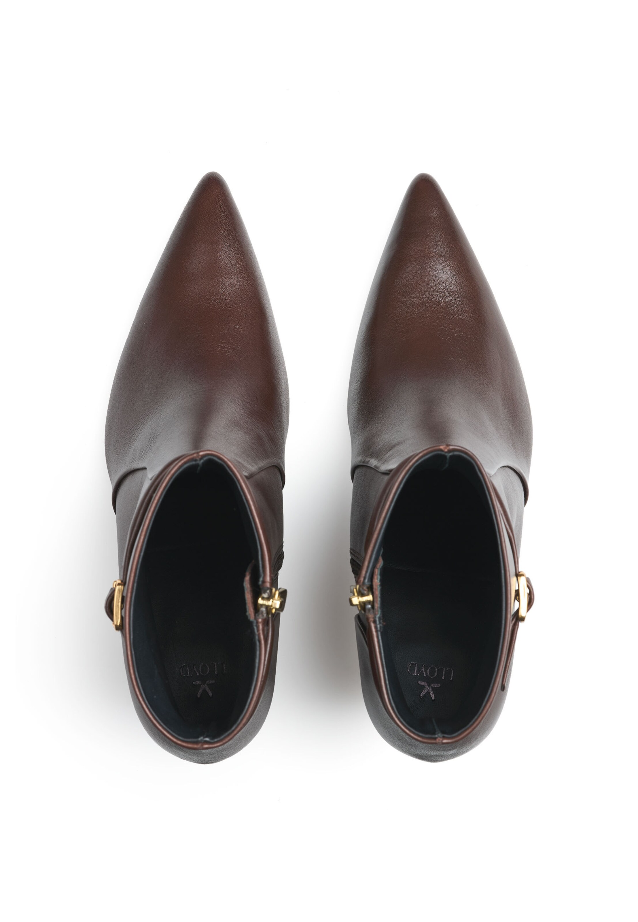 LLOYD Ankle Boots 'Amara 425' in Brown