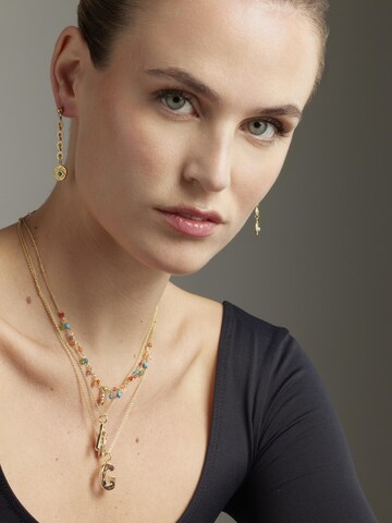 Chaîne 'Lision' Luxenter en mélange de couleurs