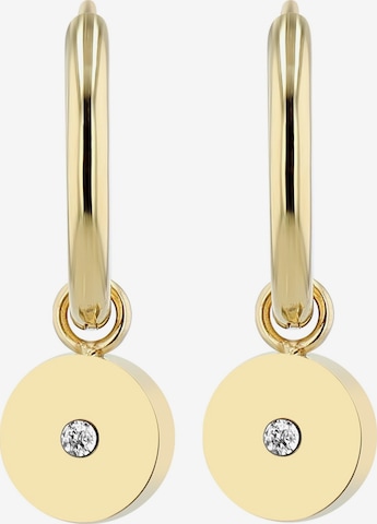Akzent Earrings 'Stintje, langlebig' in Gold: front