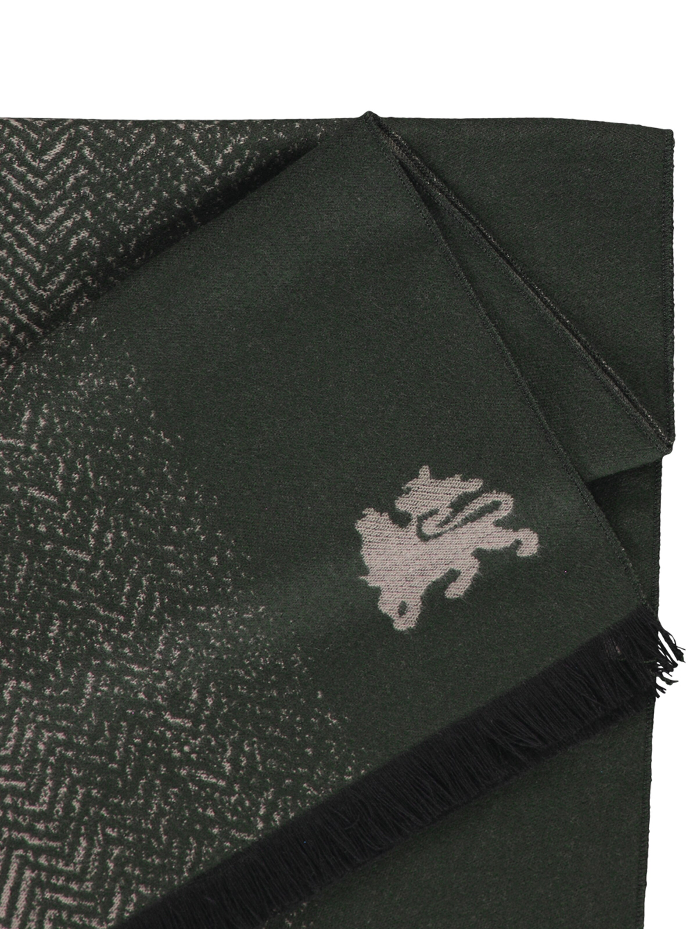 LERROS Schal in Grün