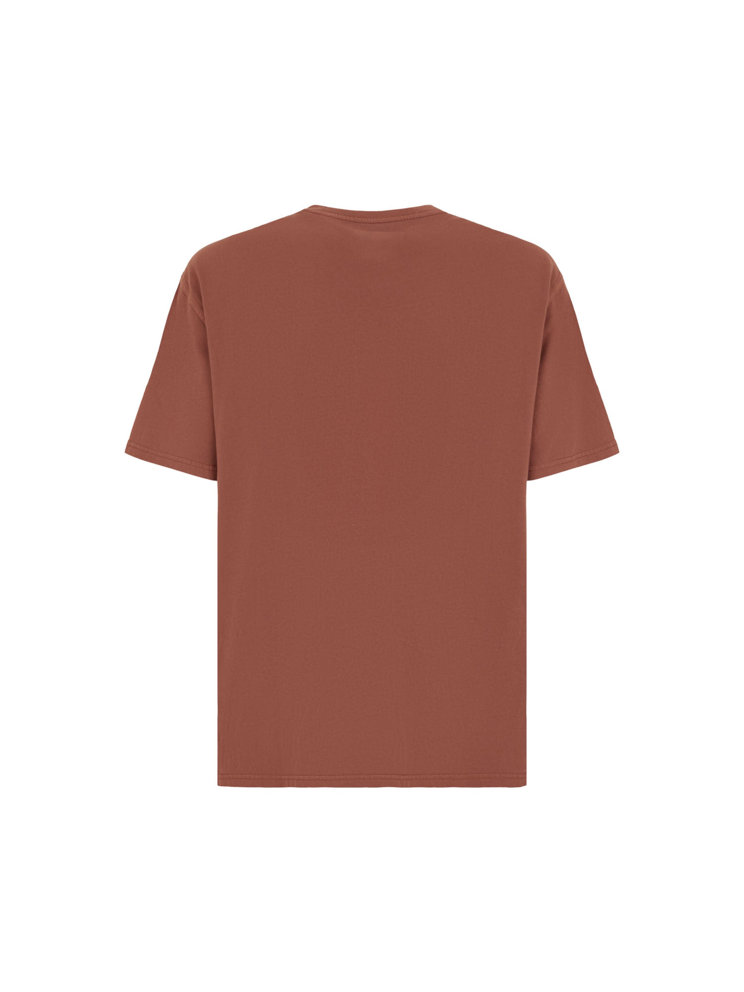 DICKIES Shirt in Brown