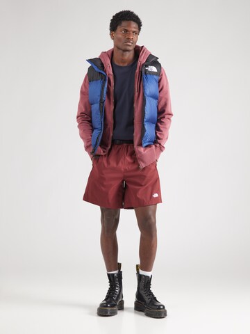 raudona THE NORTH FACE Standartinis Kelnės 'CLASS V PATHFINDER'