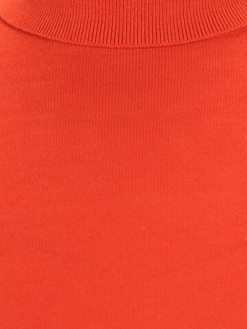 Pull-over 'ZOE' Lauren Ralph Lauren Petite en orange