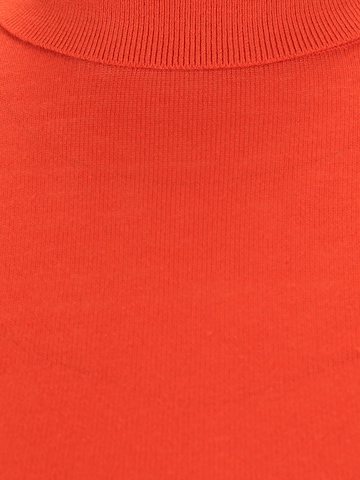 Lauren Ralph Lauren Petite Pullover 'ZOE' in Orange