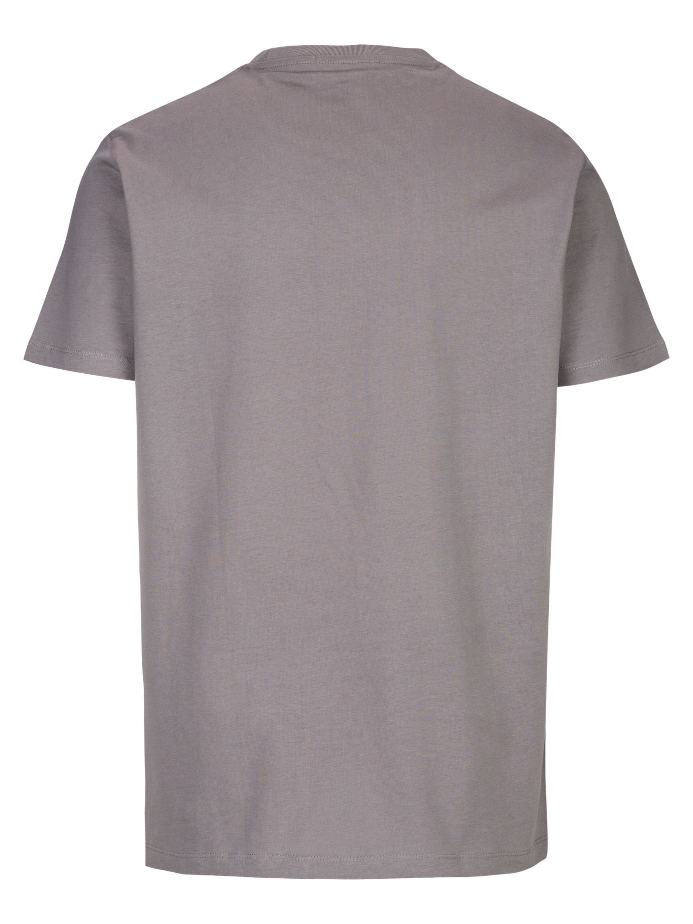 T-Shirt 'Piece' REPLAY en gris