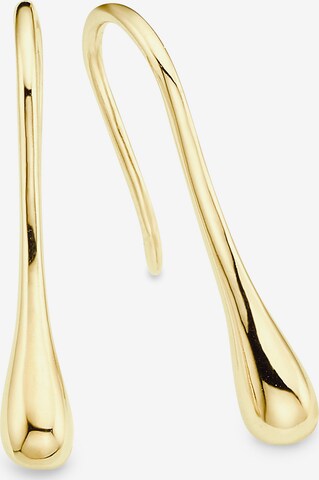 HECHTER PARIS Earrings in Gold: front