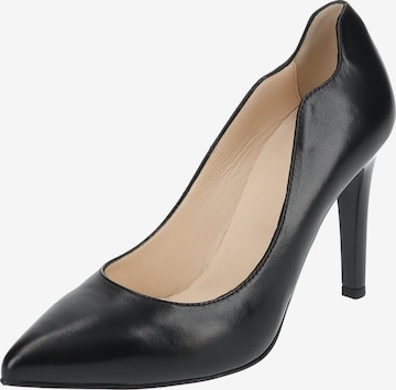 Nero Giardini Pumps in Schwarz: predná strana