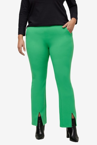 Ulla Popken Flared Pants in Green: front