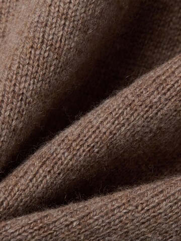 Andrew James Pullover in Braun