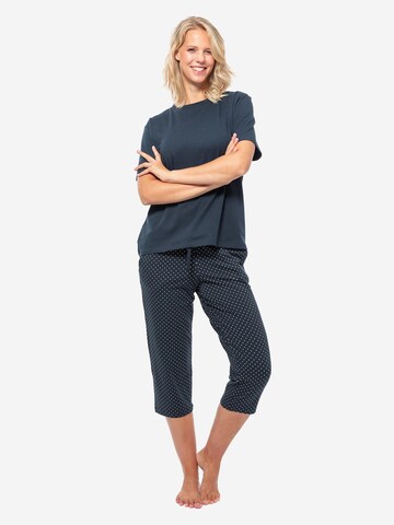 SCHIESSER Pyjama 'Organic Cotton' in Blauw