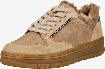 Paul Green Sneakers in Brown: front