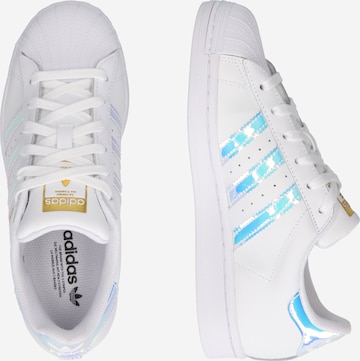 Baskets basses 'Superstar' ADIDAS ORIGINALS en blanc