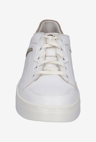 JOSEF SEIBEL Lace-Up Shoes 'FRED 02' in White