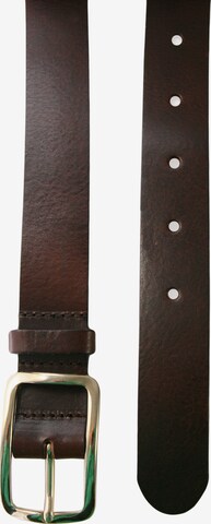 Petrol Industries Belt in Brown