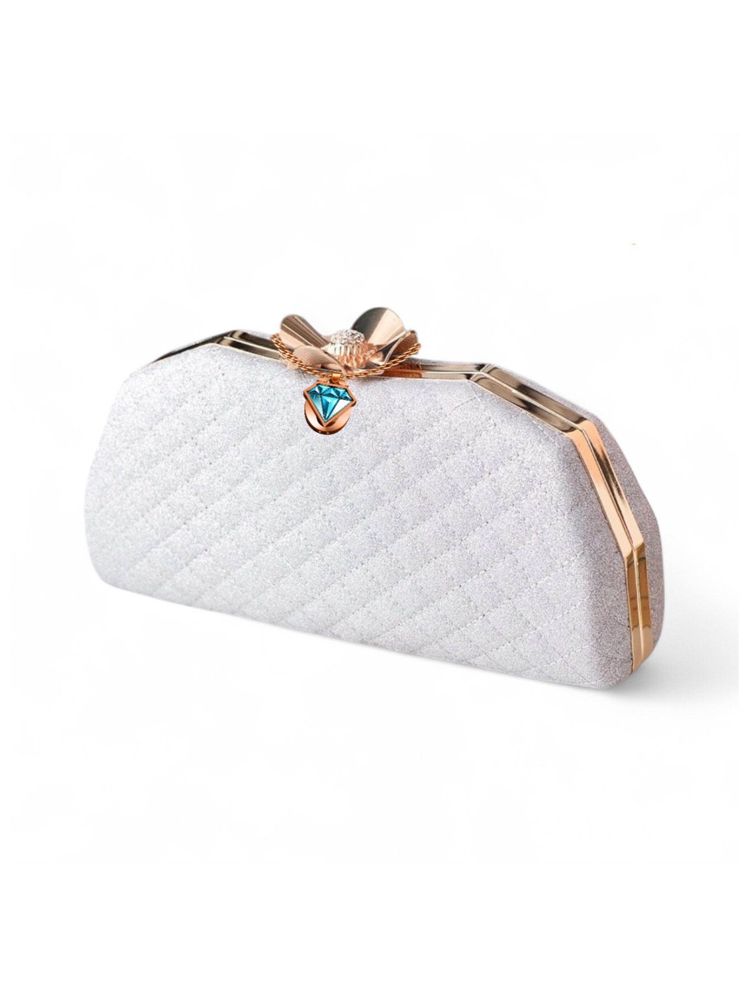 Elegon Clutch 'Model Malaysia' in Silver: front
