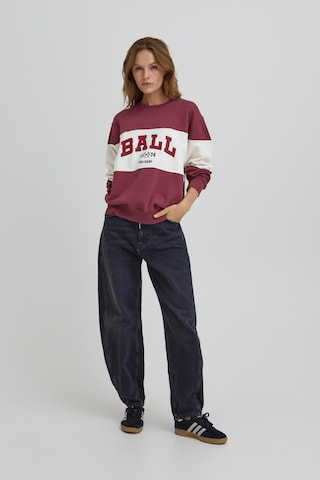 Ball Sweatshirt 'Montana' i brun