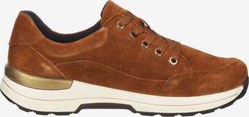 ARA Sneakers in Brown