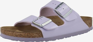 BIRKENSTOCK Mules 'Arizona' in Purple: front