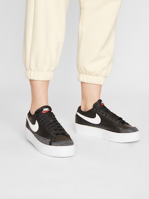 Sapatilhas Nike Sportswear Daybreak em prata / branco