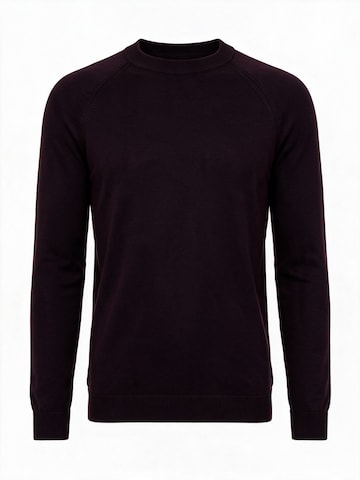 Antioch Slim Fit Pullover in Rot: Vorderseite