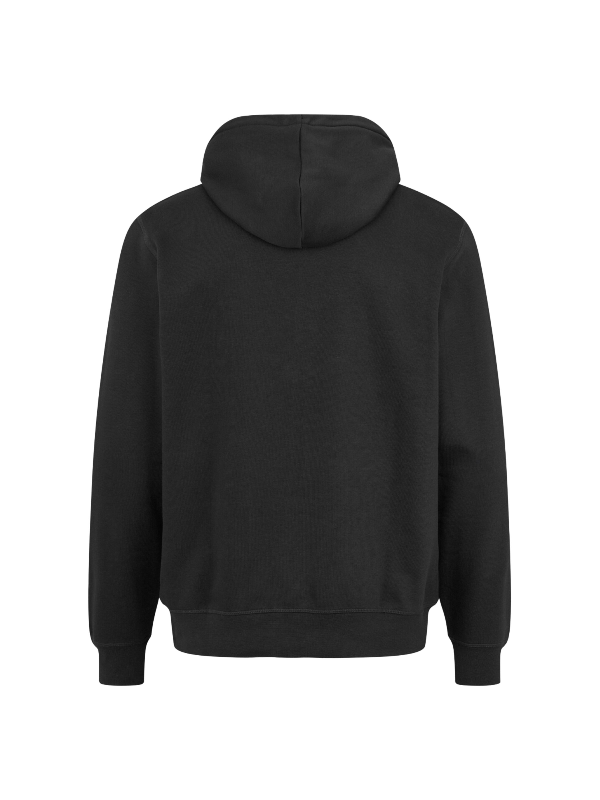 U.S. POLO ASSN. Pullover 'Toke' i sort