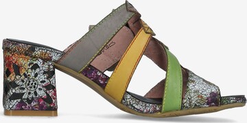 Laura Vita Mules in Mixed colors