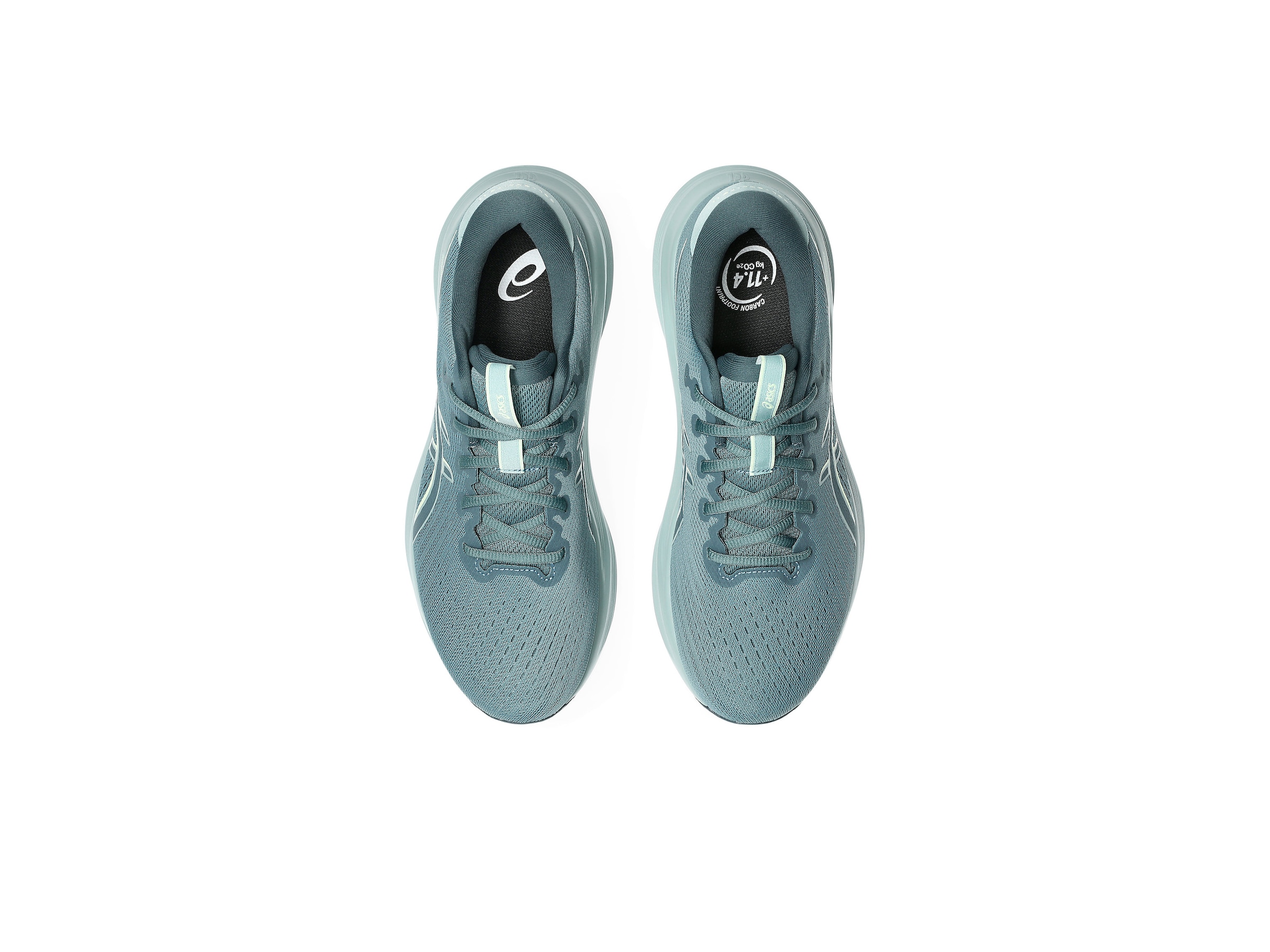 ASICS Running Shoes in Blue