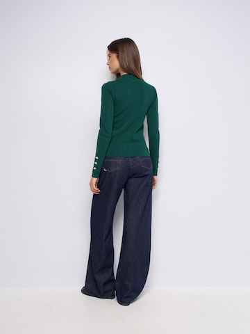 Salsa Jeans Pullover in Grün