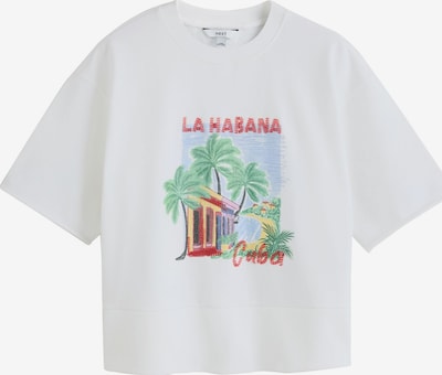 Next Paita koossa 4XL-5XL värissä vaaleansininen / ruohonvihreä / kirsikanpunainen / valkoinen, Tuotenäkymä