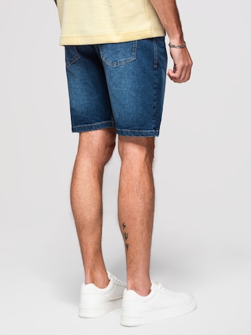 Ombre Regular Jeans‌‌‌‌‌‌‌‌ in Blau