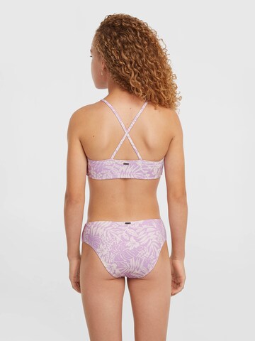 O'NEILL Bralette Bikini 'Essentials' in Purple