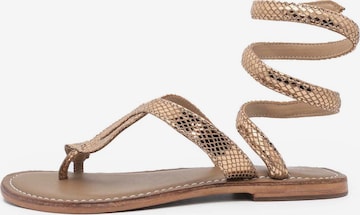 CB FUSION T-Bar Sandals in Gold