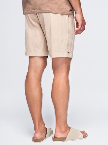 Ombre Regular Pants in Brown