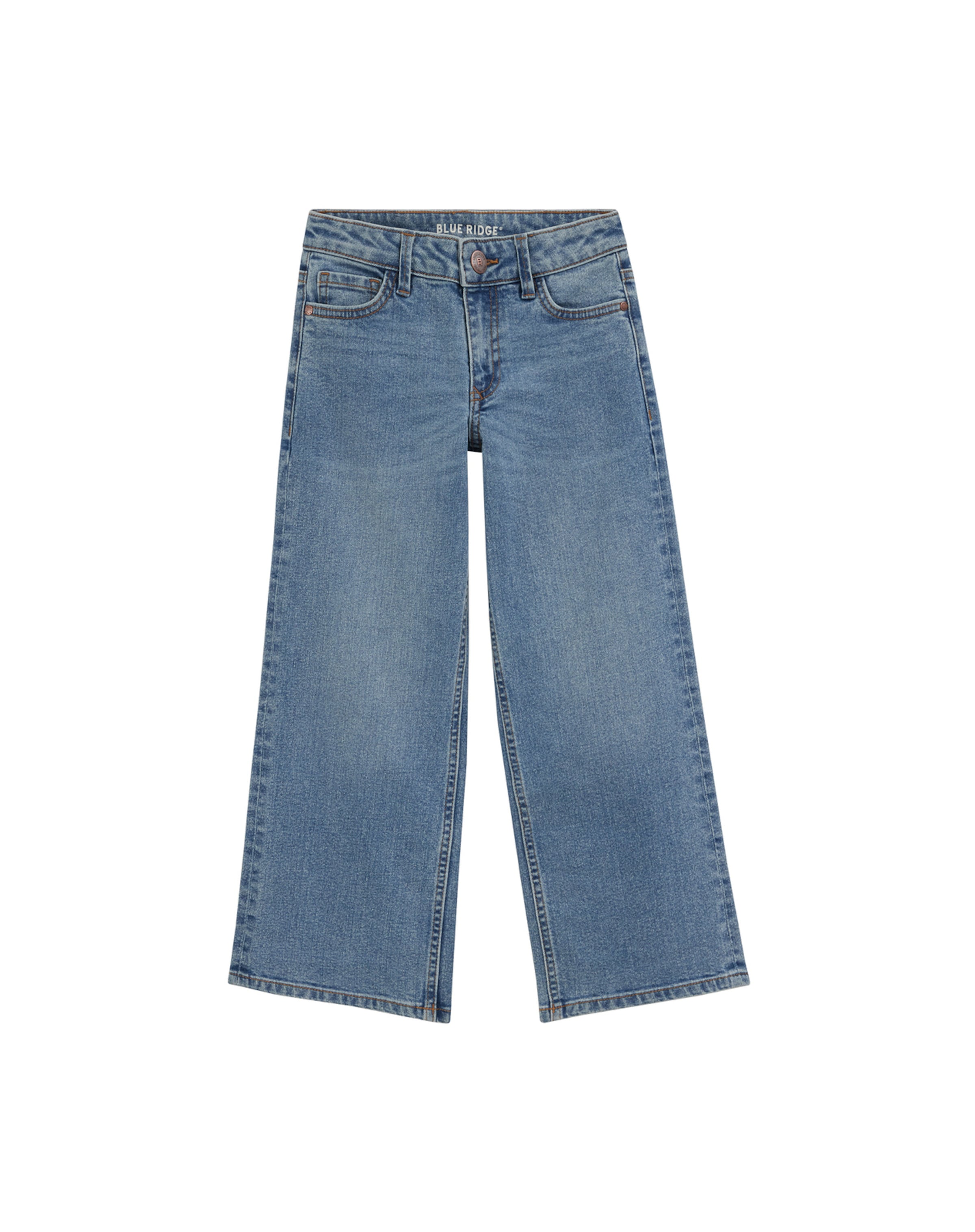 Wide Leg Jean WE Fashion en bleu : devant