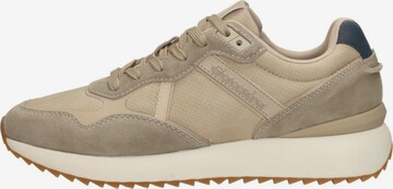 Baskets basses 'Hull PRF NUB M' Gaastra en beige : devant