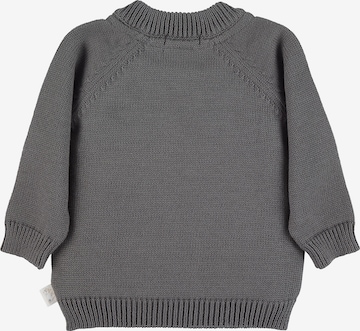 STERNTALER Sweater 'Elia' in Grey