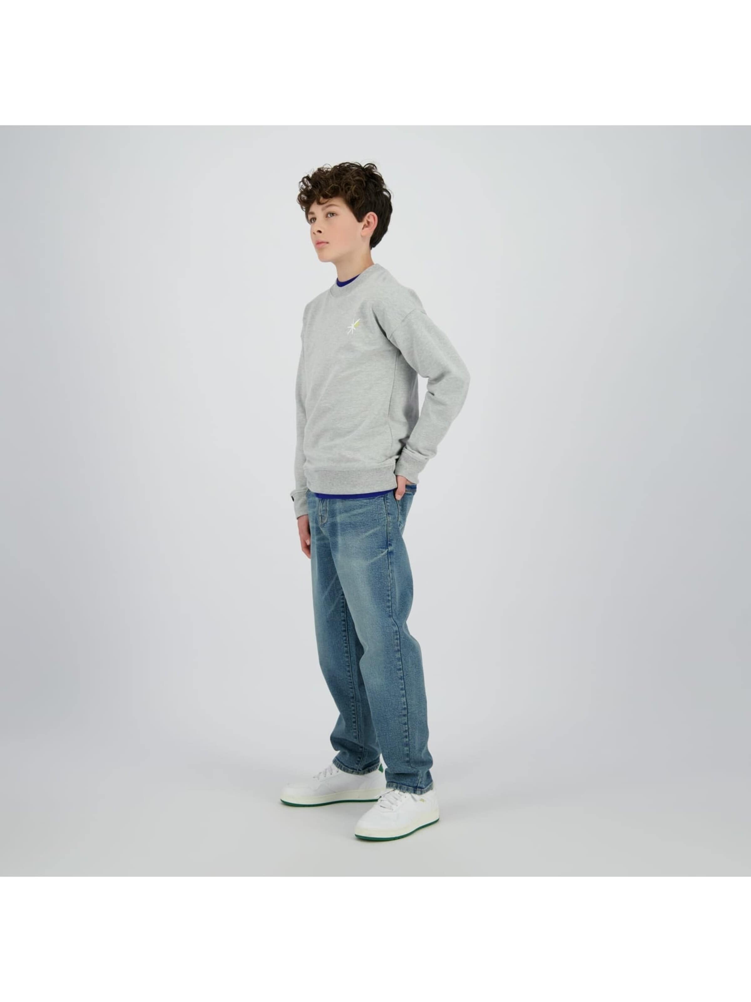Raizzed Sweater in Grey