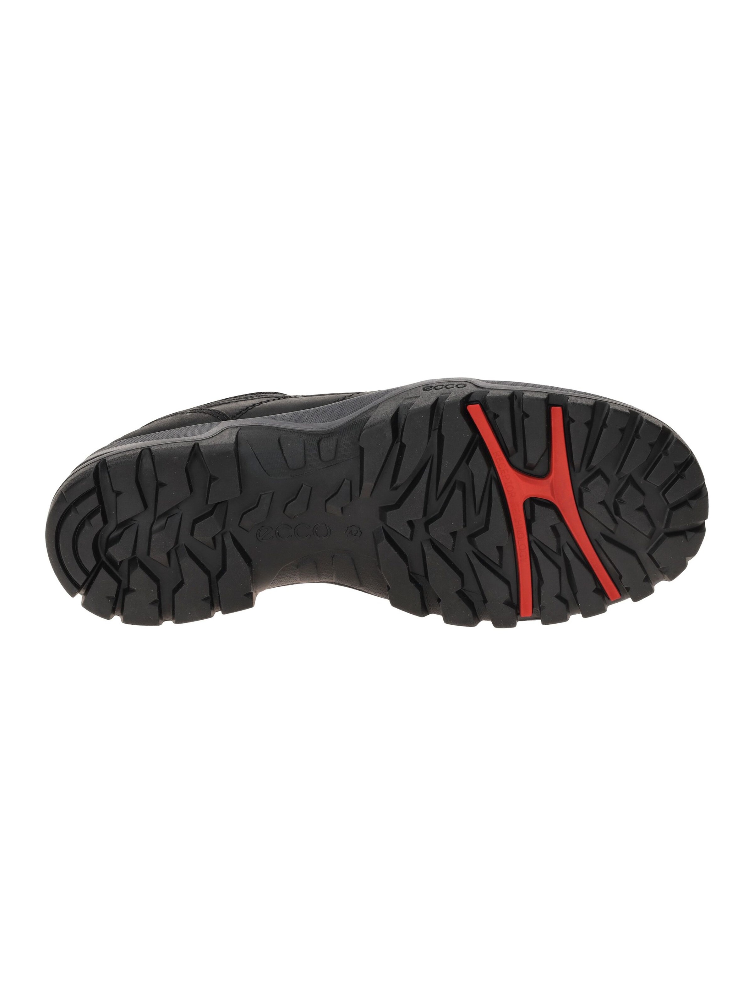 ECCO Lace-Up Shoes in Black