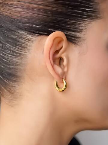 hiBALI Earrings 'Bold Curvy' in Gold