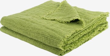 ZOEPPRITZ Blankets 'Honeybee' in Green: front