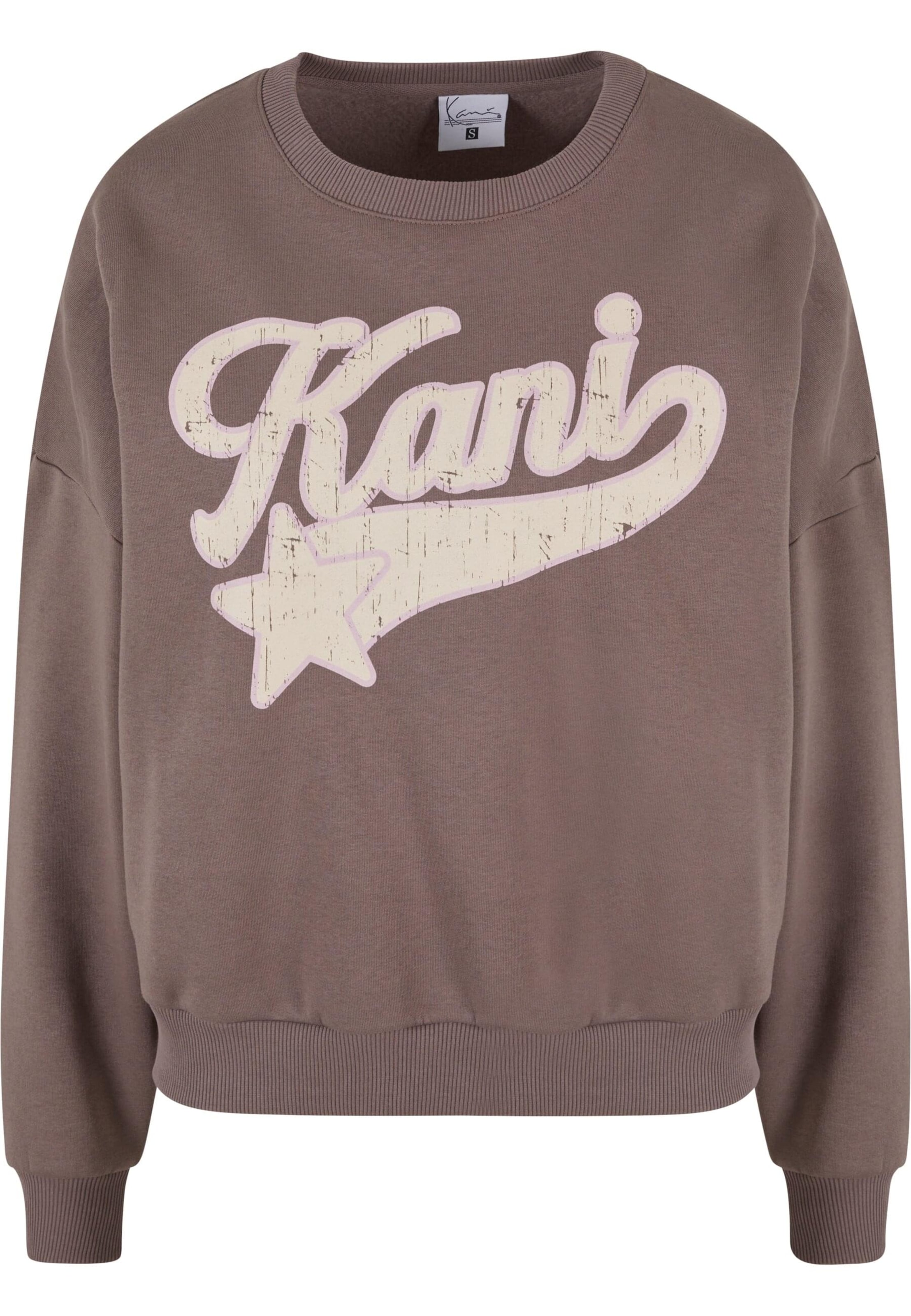 Sweat-shirt Karl Kani en gris : devant