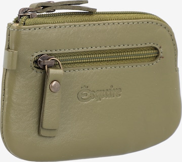 Esquire Case in Green