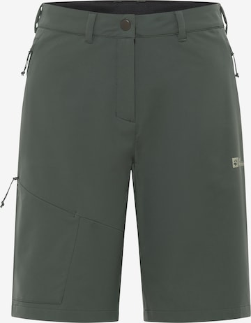 JACK WOLFSKIN Regular Outdoor Pants in Green: front