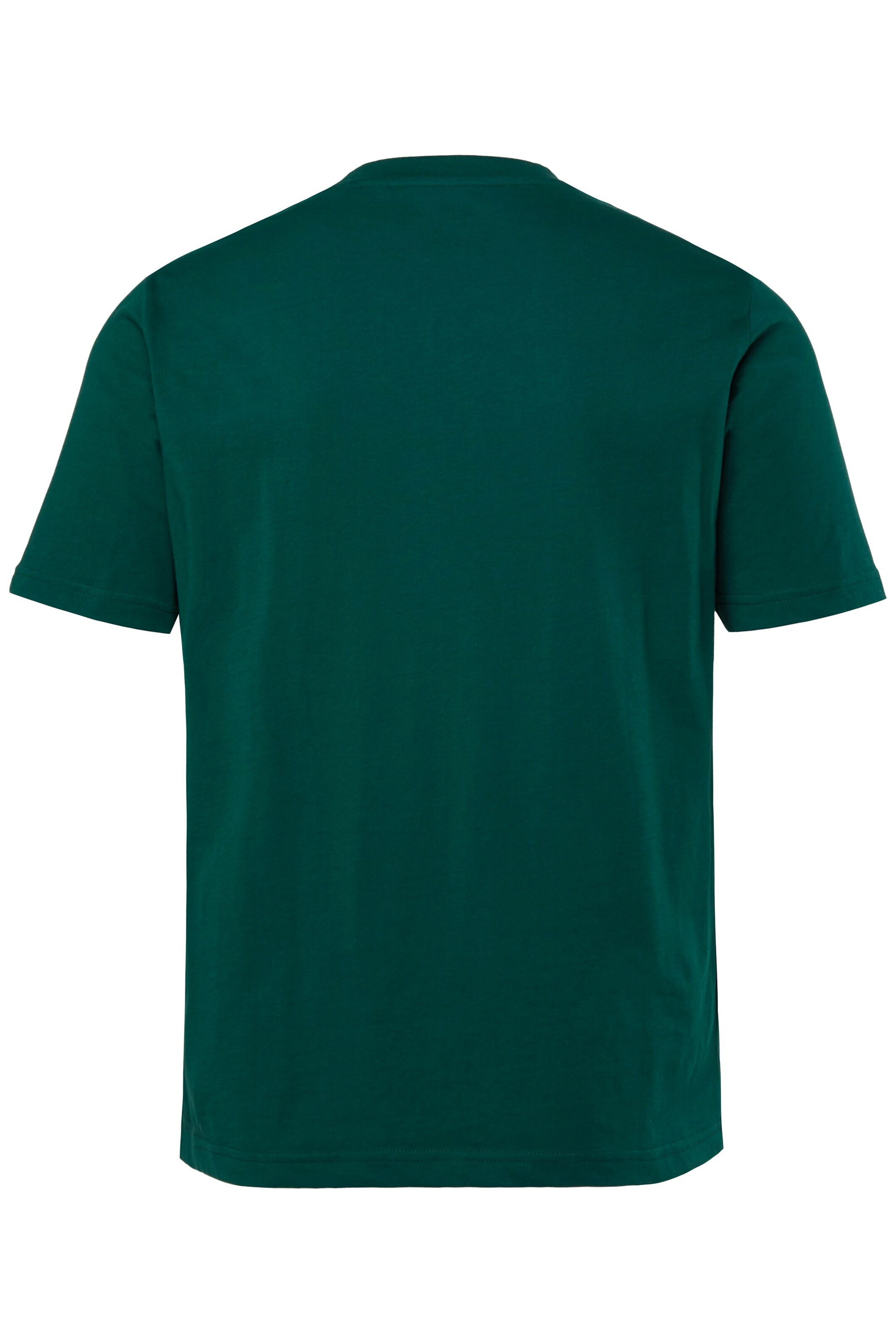 Men Plus Shirt in Green